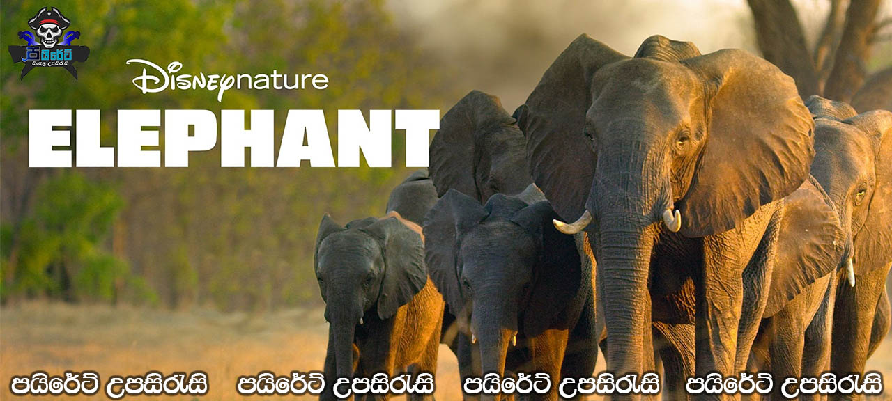 Elephant (2020) Sinhala Subtitles