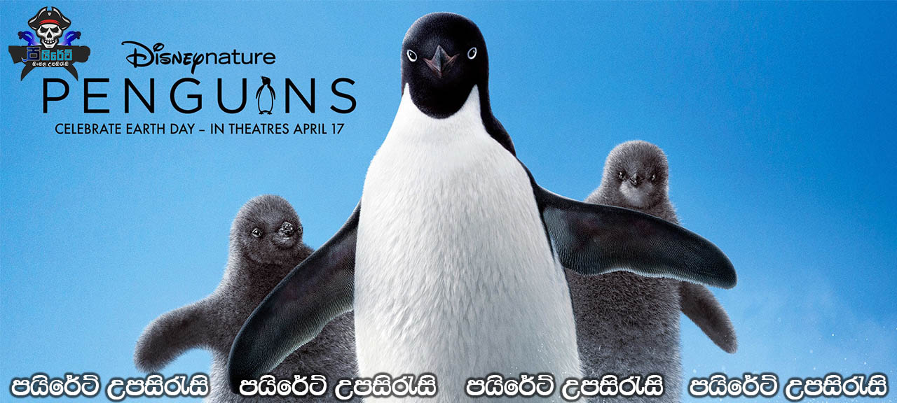 Penguins (2019) Sinhala Subtitles