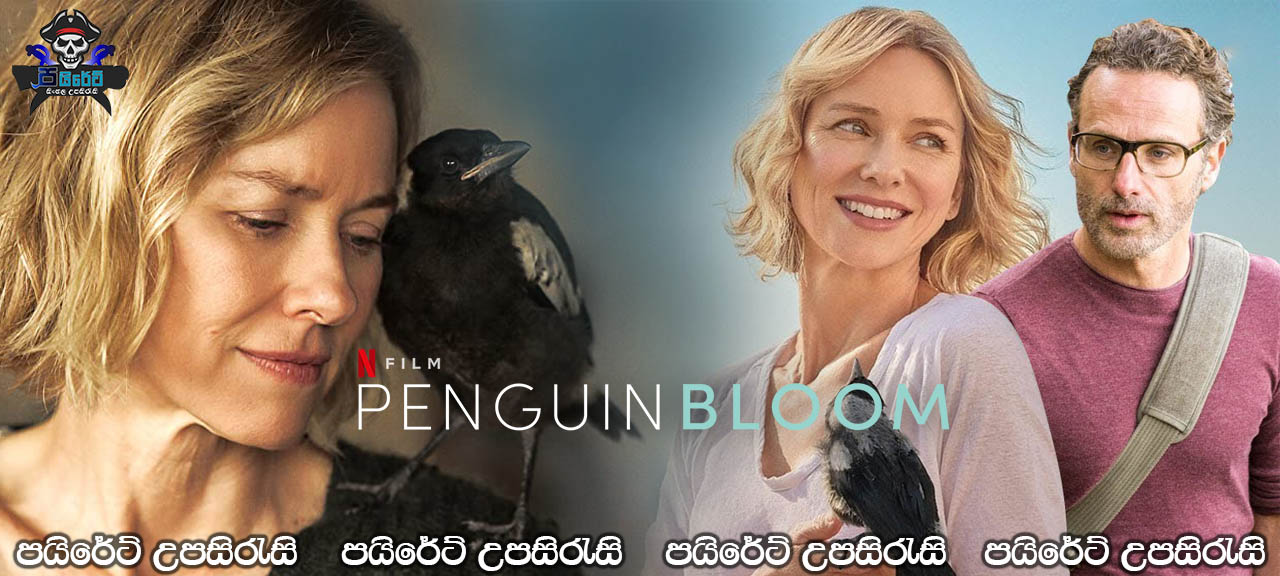 Penguin Bloom (2020) Sinhala Subtitles 