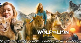 The Wolf and the Lion (2021) Sinhala Subtitles