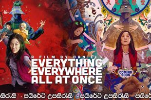 Everything Everywhere All at Once (2022) Sinhala Subtitles