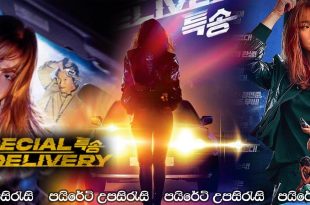Special Delivery (2022) Sinhala Subtitles