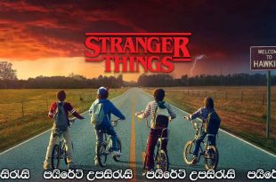 Stranger Things Complete Season 01 with Sinhala Subtitles