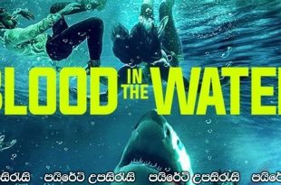Blood in the Water (2022) Sinhala Subtitles