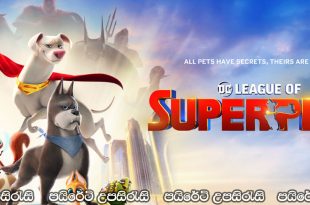 DC League of Super-Pets (2022) Sinhala Subtitles