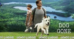 Dog Gone (2023) Sinhala Subtitles | ගොන්කර් සොයා යන ගමන.. [සිංහල උපසිරැසි සමඟ]