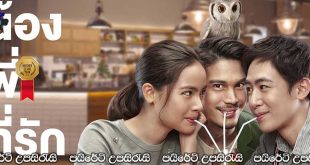 Brother of the Year (2018) Sinhala Subtitles | කිසිදා නොමියෙන සොදුරු පෙම.. [සිංහල උපසිරැසි සමඟ]