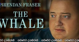 The Whale (2022) Sinhala Subtitles | තල්මහ .. [සිංහල උපසිරැසි සමඟ]