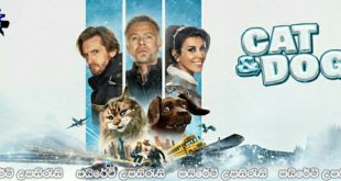 Cat and Dog (2024) Sinhala Subtitles | බල්ලයි පූසයි.. [සිංහල උපසිරැසි සමඟ]