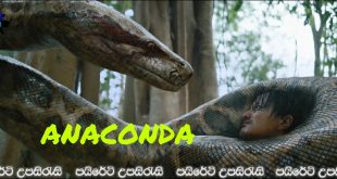 Anaconda (2024) Sinhala Subtitles | “බිහිසුණු රාක්ෂයෙකුගේ පුරාවෘත්තය.!” [සිංහල උපසිරැසි සමඟ]