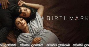 Birthmark (2024) Sinhala Subtitles | “කාගෙද මේ දරුවා.?” [සිංහල උපසිරැසි සමඟ]