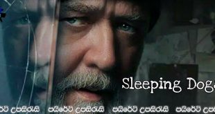 Sleeping Dogs (2024) Sinhala Subtitles | “මතක ශක්තිය නැතිව හිටපු මිනීමැරුම් රහස් පරීක්ෂකයෙක්..” [සිංහල උපසිරැසි සමඟ]