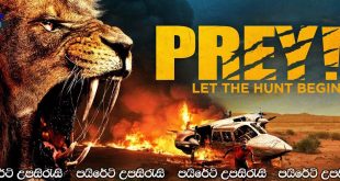 Prey (2024) Sinhala Subtitles | විලෝපිකයා..[සිංහල උපසිරැසි සමඟ]