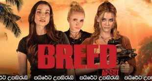 A Breed Apart (2025) Sinhala Subtitles | සුවිශේෂී ගණයක්..[සිංහල උපසිරැසි සමඟ]