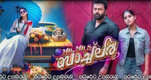 Mr & Mrs Bachelor (2025) Sinhala Subtitles | කසාදය..[සිංහල උපසිරැසි සමඟ]